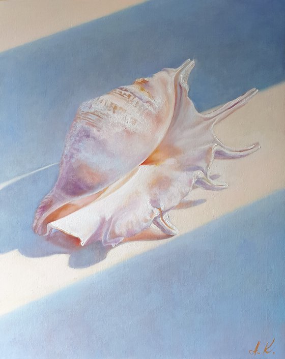 "An attribute of the divine Aphrodite."  still life seashell  liGHt original painting  GIFT (2021)