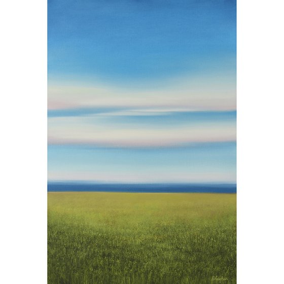 Lush Grass - Blue Sky Landscape