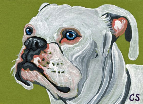 ACEO ATC Original Miniature Painting White Boxer Pet Dog Art-Carla Smale