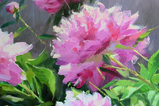 Pink peonies in the garden