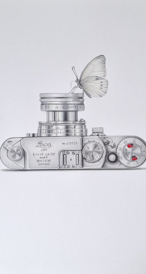 Leica: A missed opportunity by Daniel Shipton