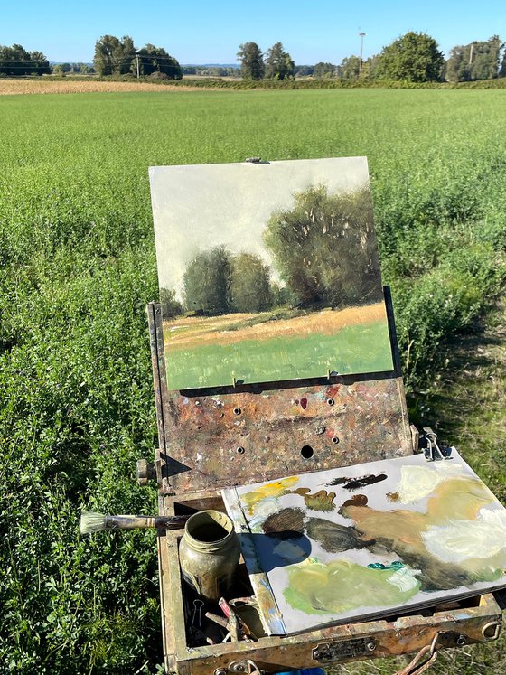 Afternoon Farm Field 251011