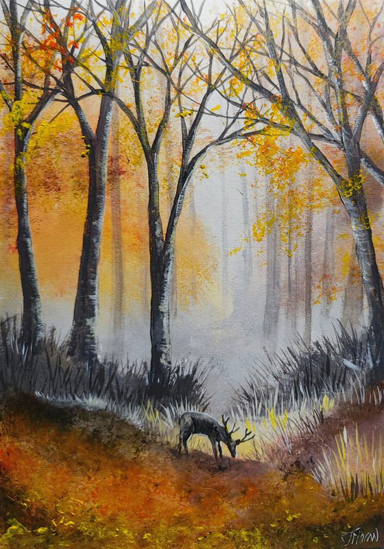 Autumnal woodland