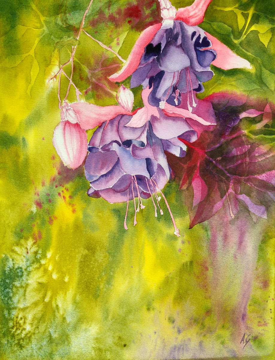 Impressionistic Botanical Watercolour By Aneta Gajos, 12 X 16, Turkish Delight Fuchsia, Original Artwork