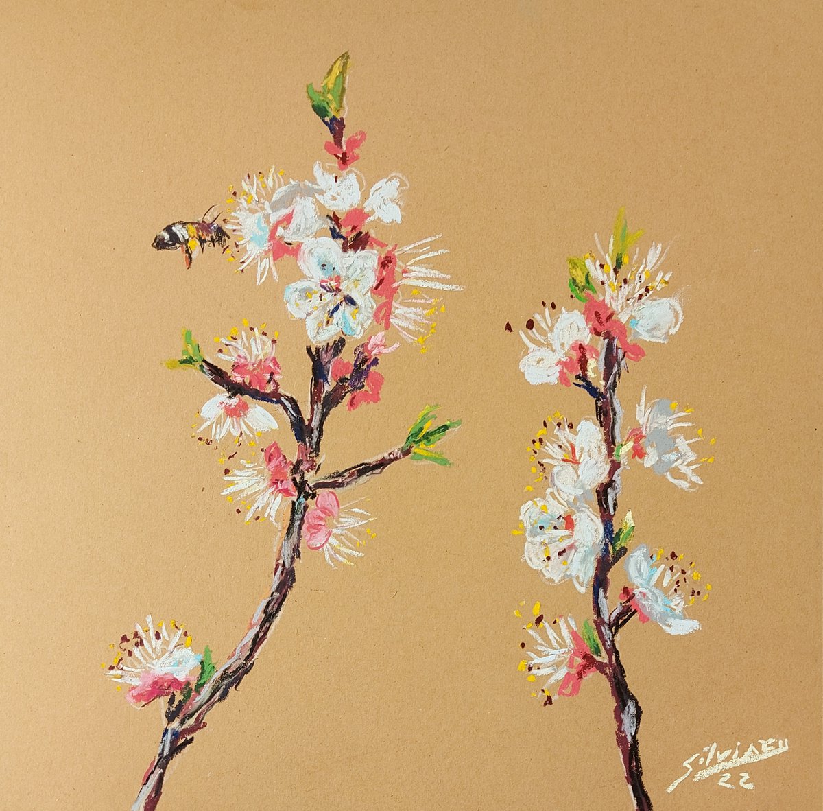 Apricot blossom and the bee by Silvia Flores Vitiello