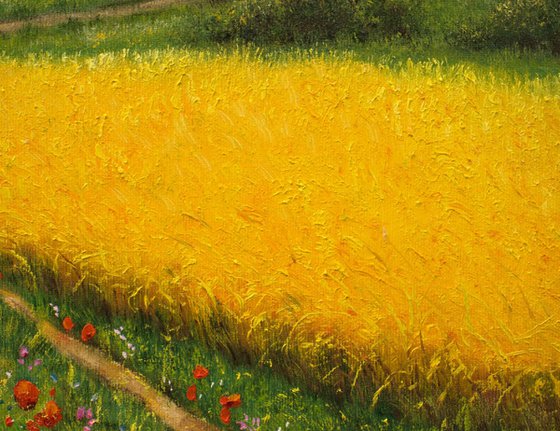 Yellow field