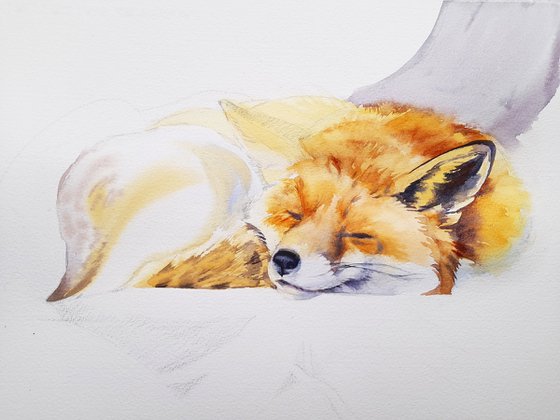 Sleeping Fox