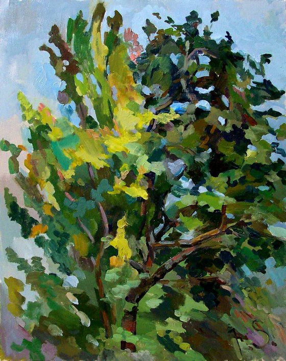 Apple tree