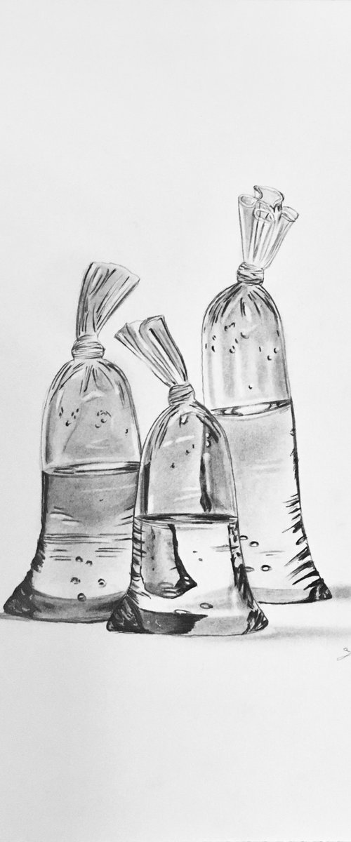 Water bags by Amelia Taylor