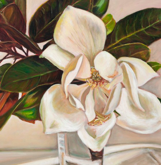 Magnolia Grandiflora