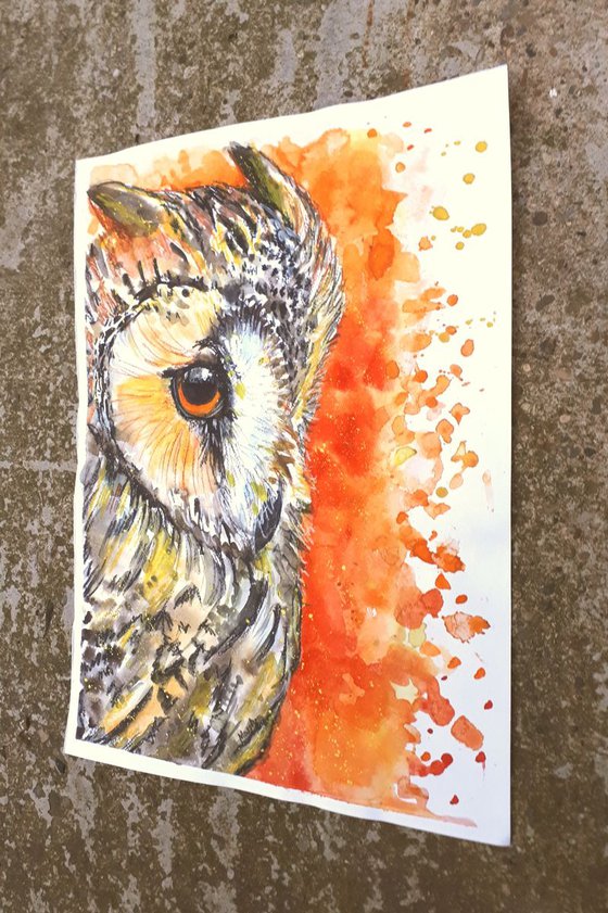 "Autumn owl"