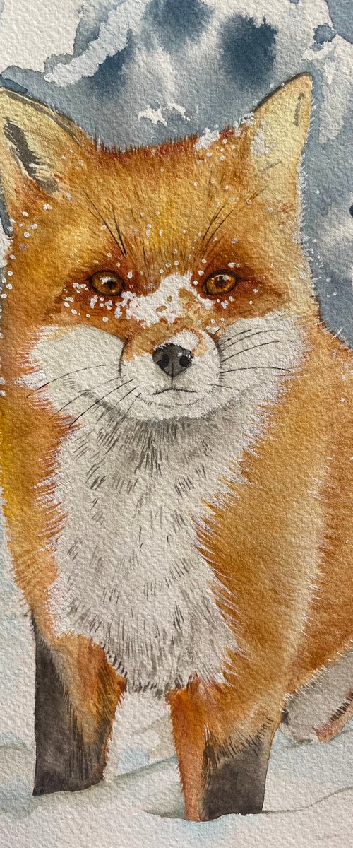 Playful fox in the snow by Bethany Taylor