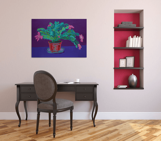 Holiday cactus
