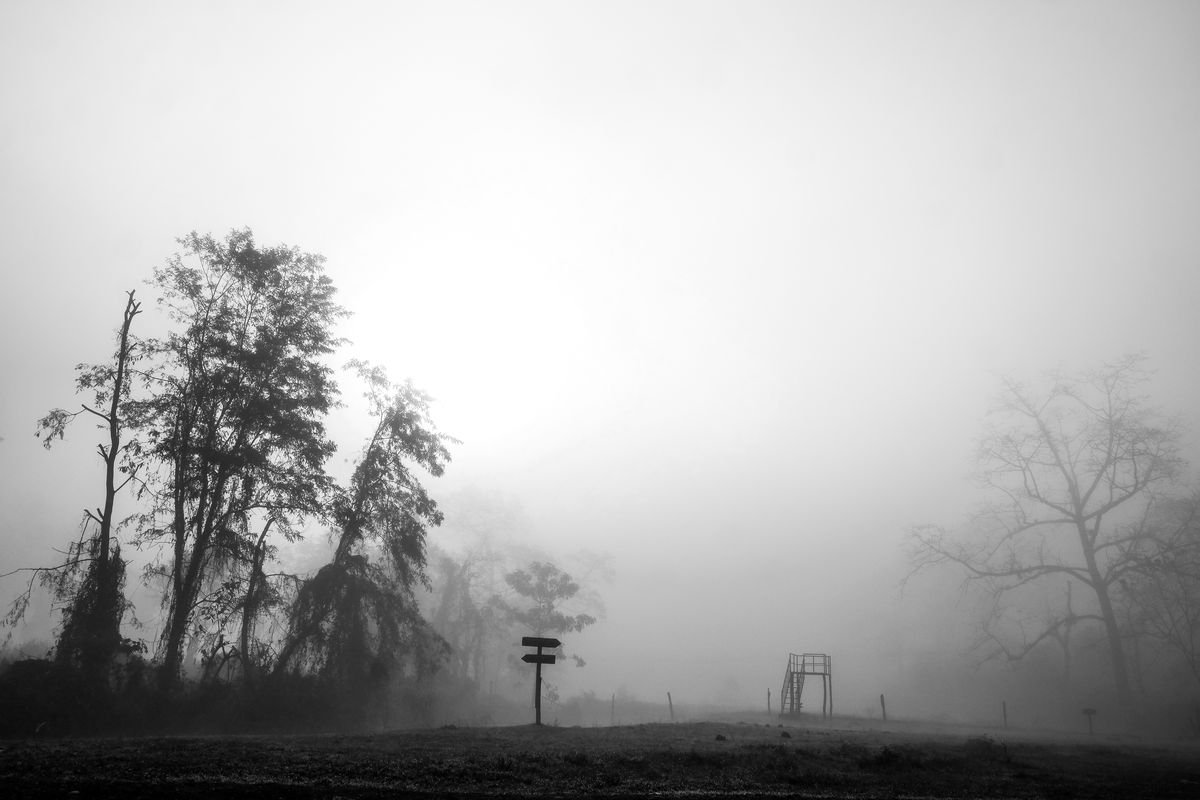 Crossroads | Limited Edition | Large by Philip Hunter