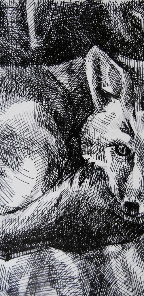 FOX by Maja Đokić Mihajlović