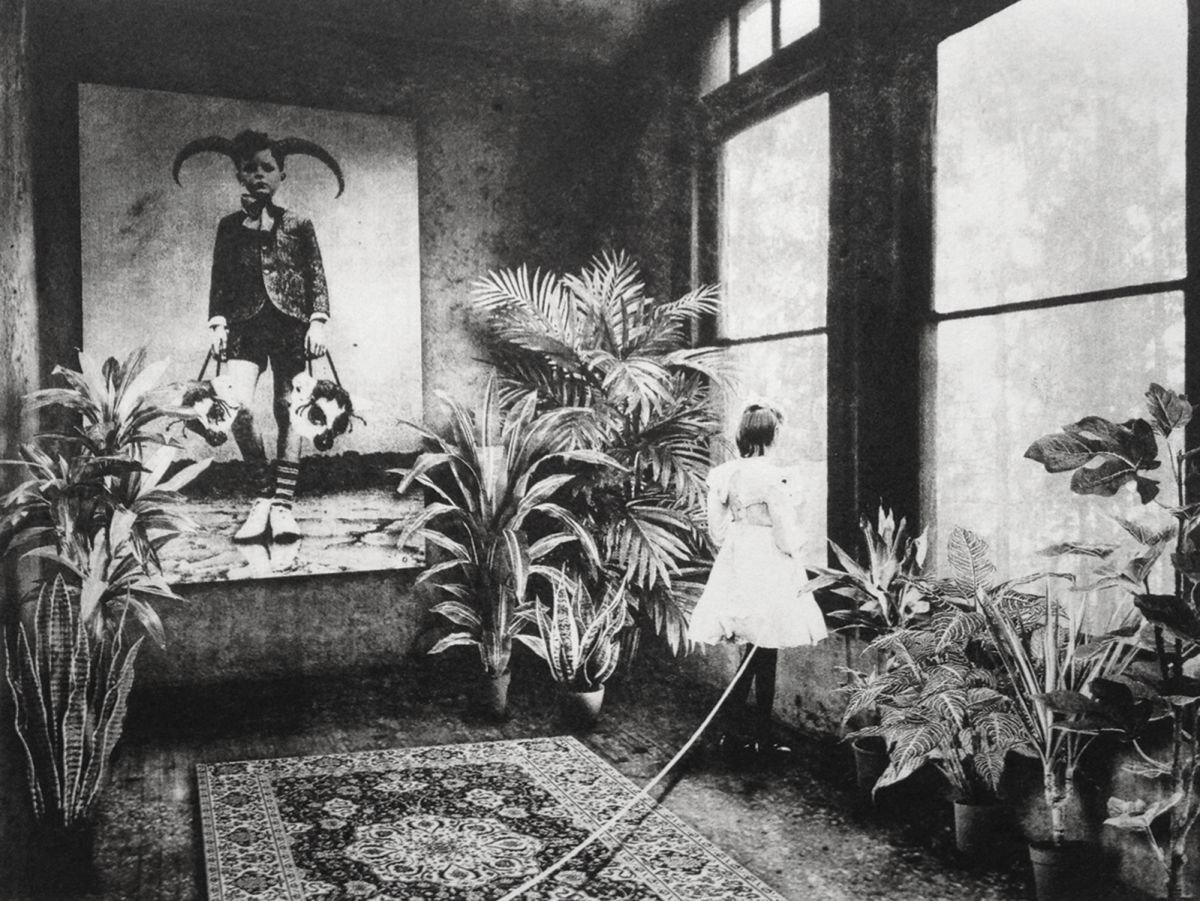 Botanical Etchings & Engravings By Jaco Putker, 13 X 10, Interior No.10, Original Artwork