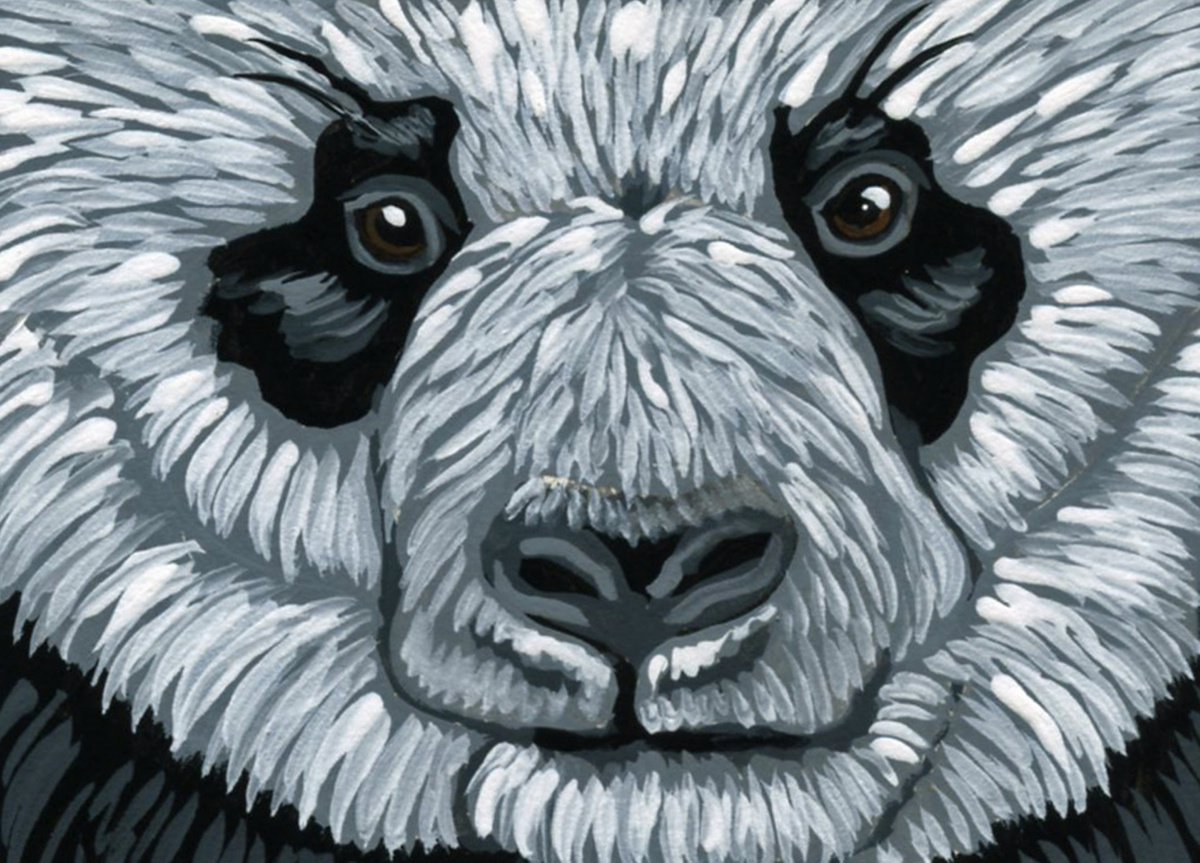 ACEO ATC Original Miniature Painting Panda Bear Wildlife Art-Carla Smale by carla smale