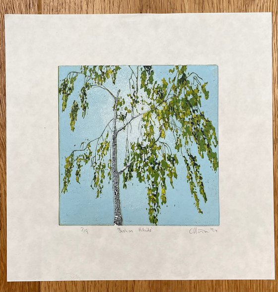 Birch Tree Linocut Print