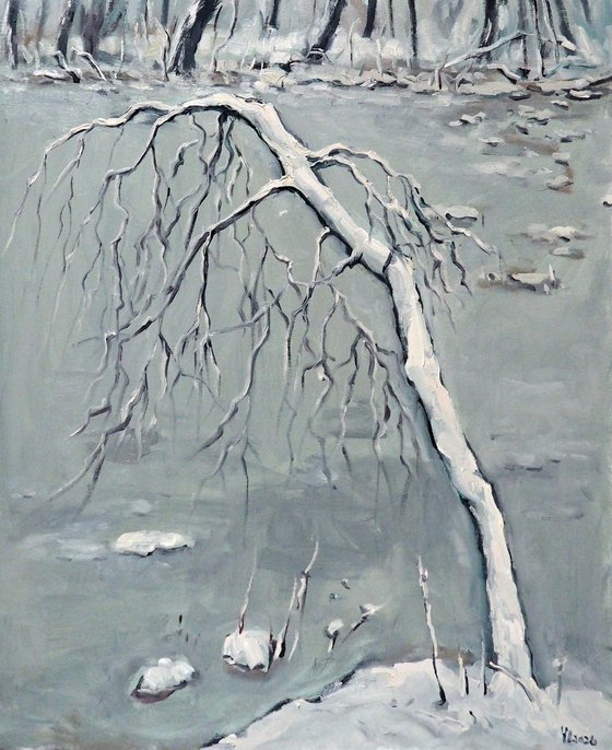 Winter landscape