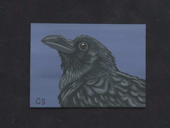 ACEO ATC Original Miniature Painting Crow Raven Bird Wildlife Art-Carla Smale