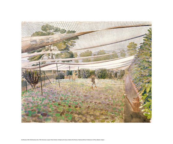 Strawberry Nets
