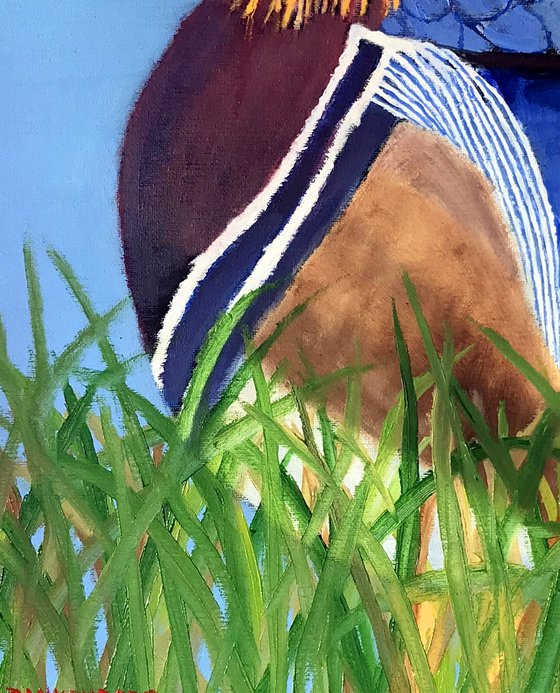 MANDARIN DUCK