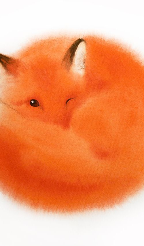 Red Fox Curls Up for a Nap #2 by Olga Beliaeva Watercolour