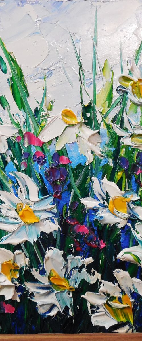 Daisies at the meadow by Oksana Fedorova