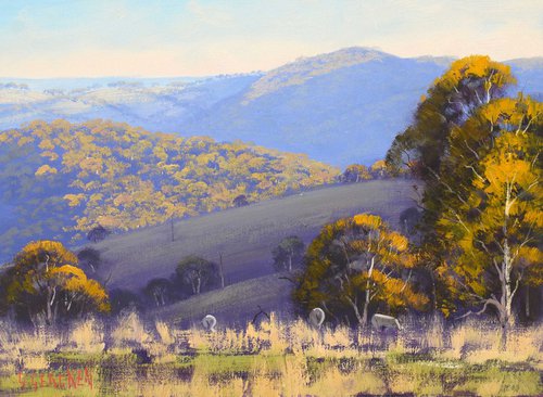 Hilly Afternoon light landscape by Graham Gercken
