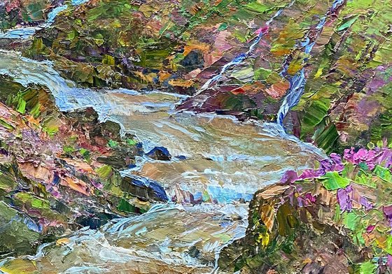 Springs of a mountain stream