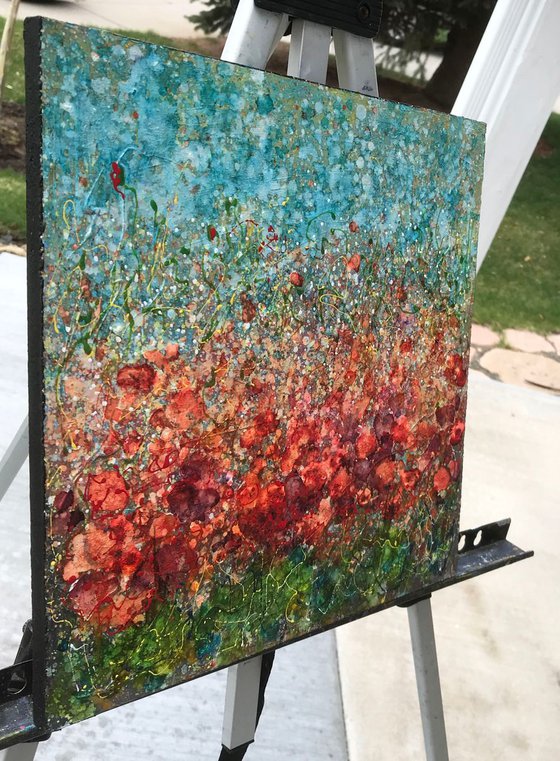 Field of Spring Poppies by @OLenaArt