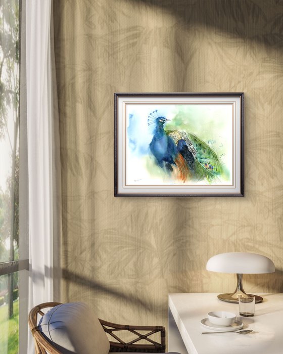 Majestic Peacock