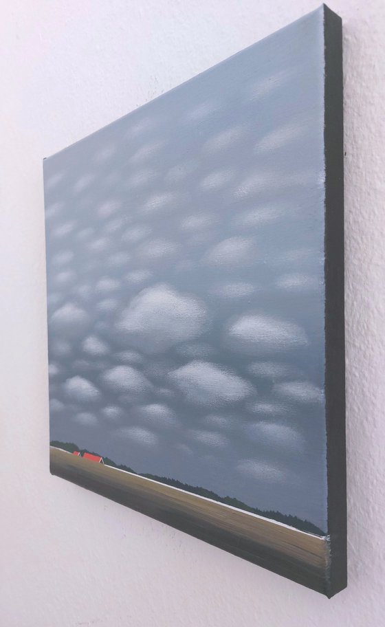 Yayoi Kusama clouds (2)