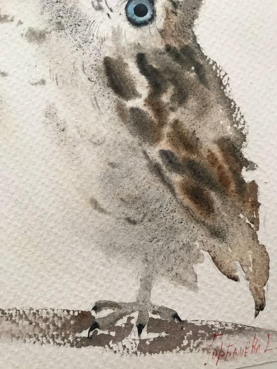 Little owl on a branch II - 19 x 28 cm