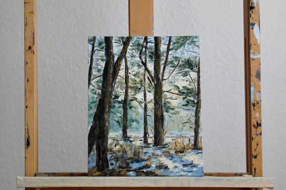 Sunlight through the Pines