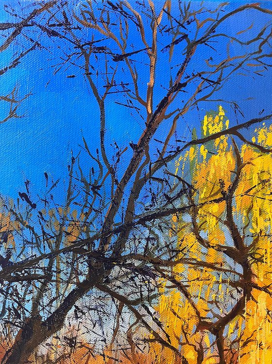 Early spring
