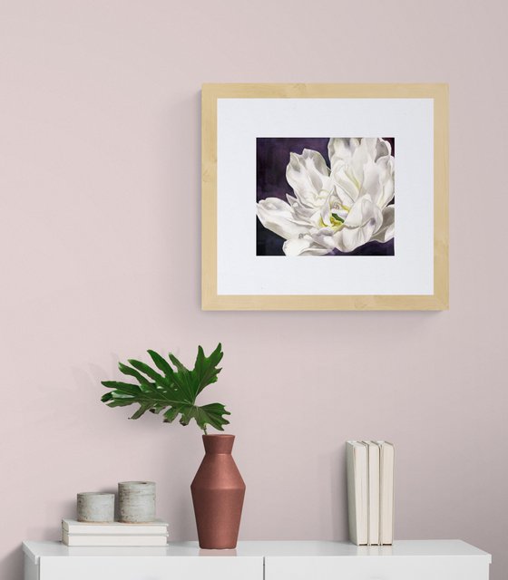white French tulip watercolor