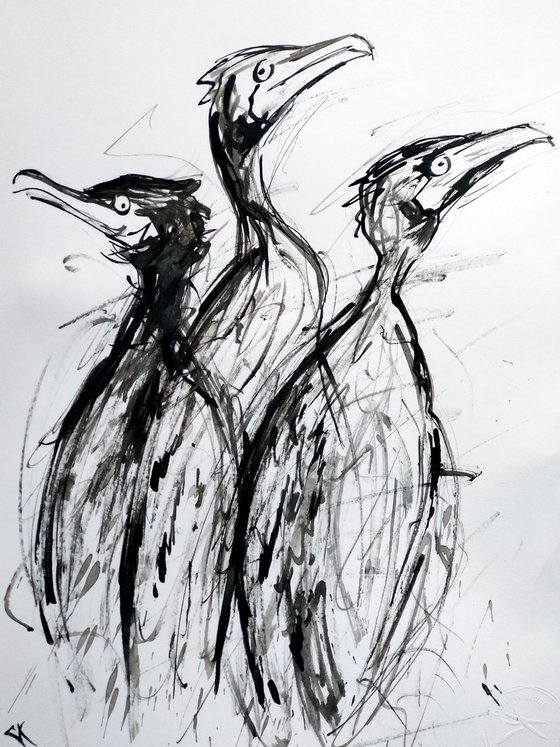 CORMORANS, EXPRESSIVE INK drawing