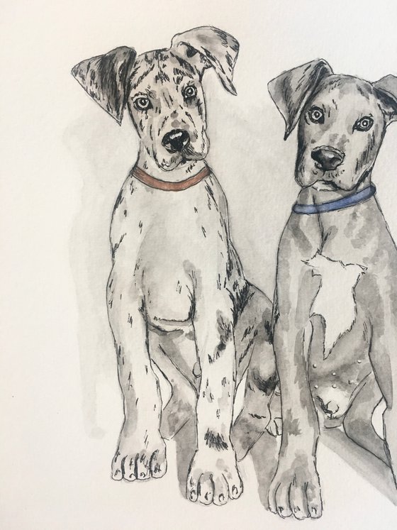 Great Dane painting