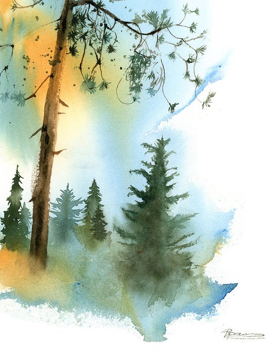 Coniferous forest landscape sketch