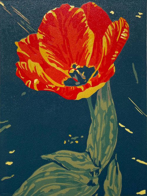 Tulip Daze by Mandeep Dhadialla