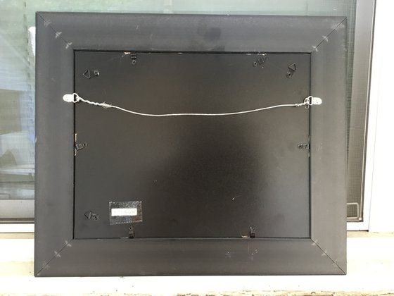 CATTLE PASTURE SKY SHOW