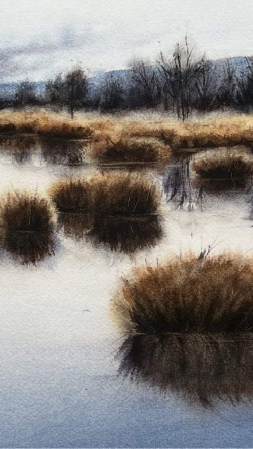 Moorlands I by Annett Coumont
