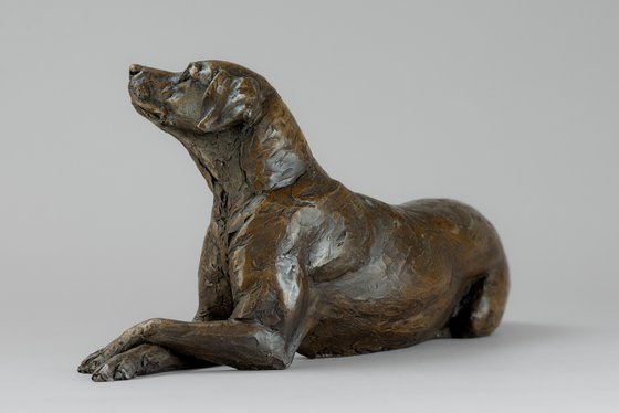 Lying Redbone Hound in Bronze Resin
