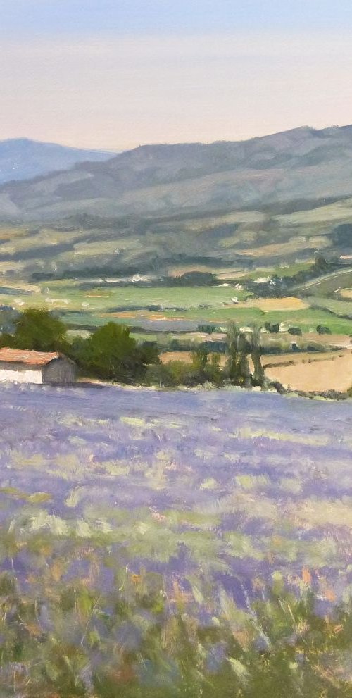 Lavender Fields near Nyons by Pascal Giroud