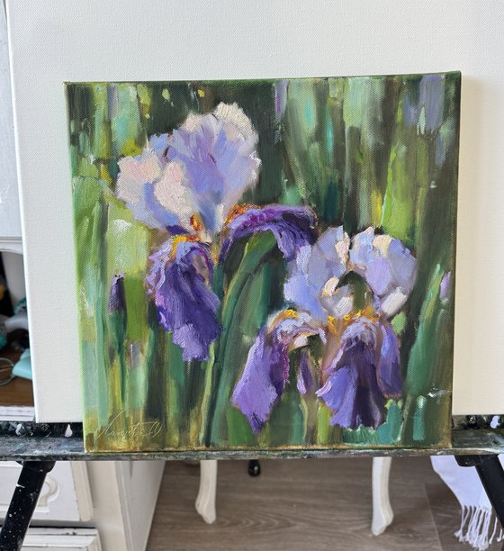 Rhythm of Irises