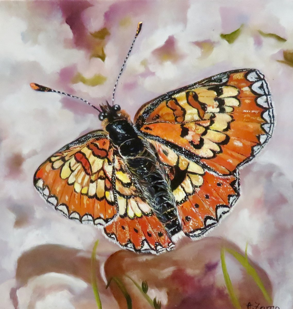 Photorealistic Animal Oil Painting By Anne Zamo, 12 X 12, The Famous Spanish Fritillary, Original Artwork