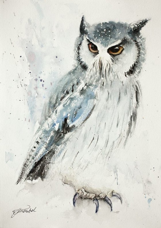 Owl