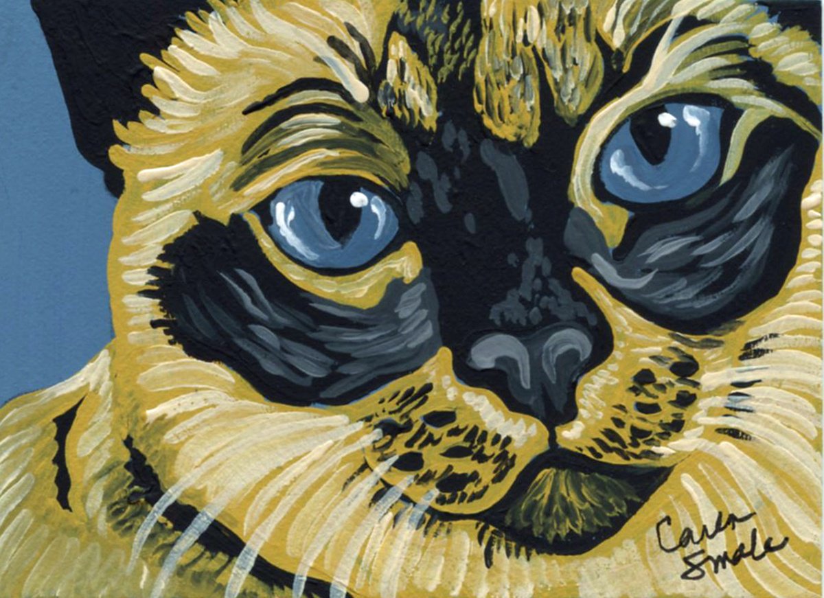 Siamese Cat by Carla Smale