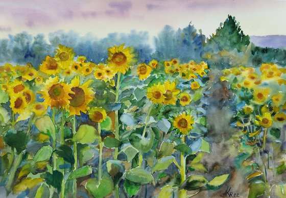 Landscape with sunflowers